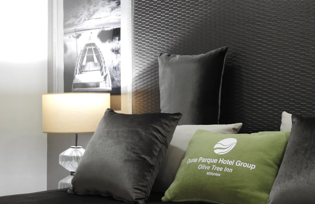 Milfontes Guest House - Duna Parque Group-1